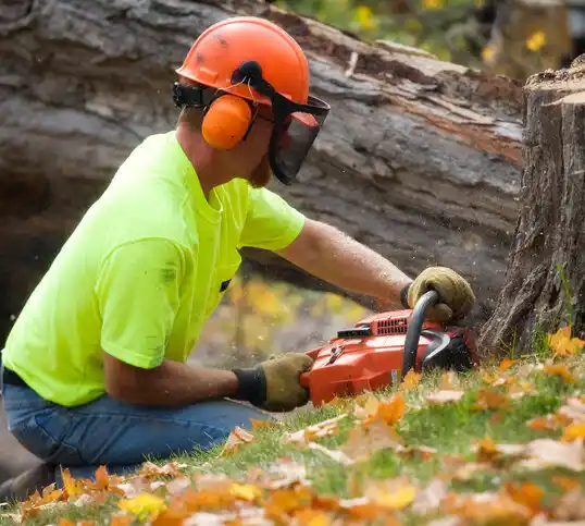 tree services Dobson